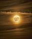 科幻剧缩略图